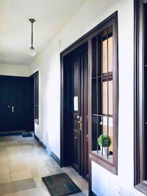 Vienna Luxury New Apartment Center -2. Bezirk Ngoại thất bức ảnh